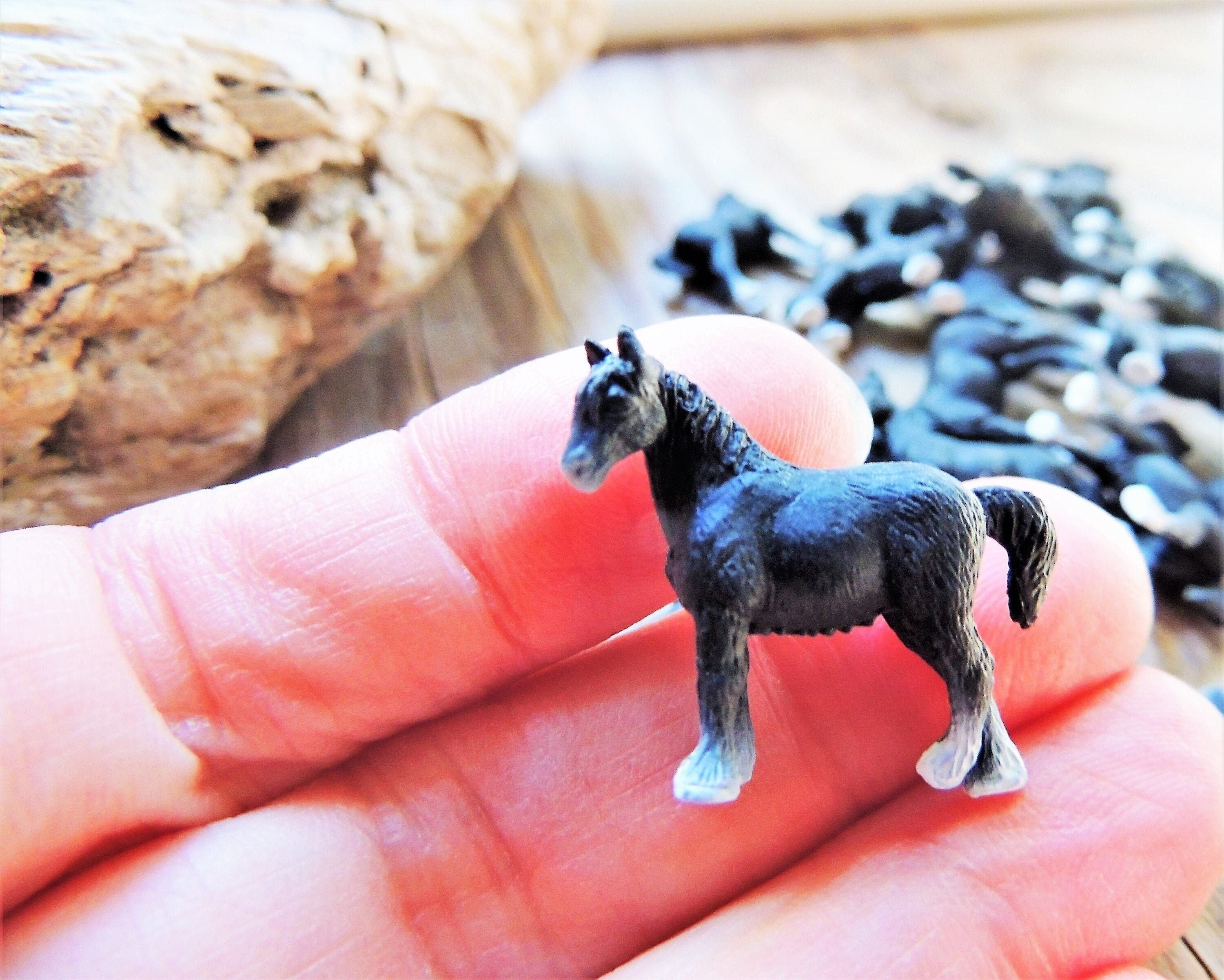 Joli petit cheval noir miniature : décoration de terrarium, figurine animale,  micro, mini fée, jardin, animaux de la ferme, maison de poupée, diorama,  petites poupées -  France