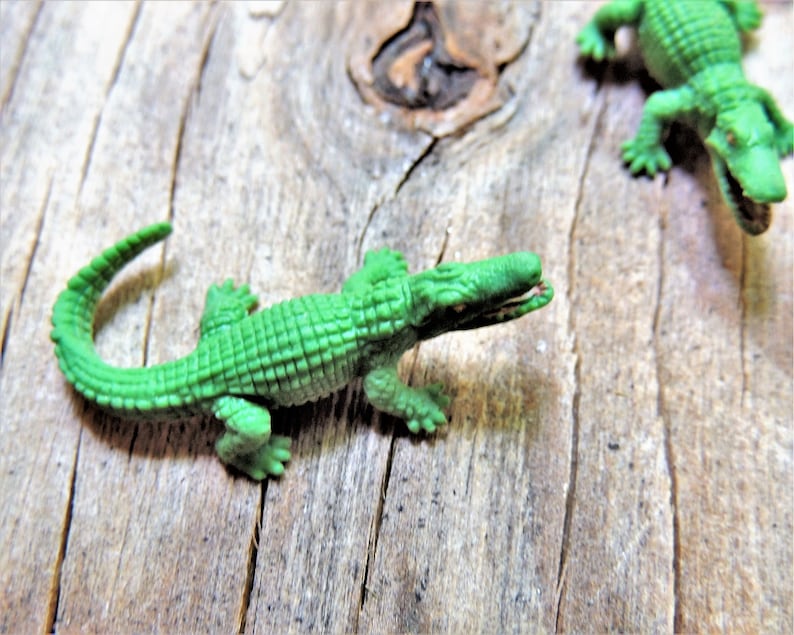 Tiny miniature realistic soft collectible alligator for crafts, dollhouses, terrariums, fairy or zen gardens, dioramas, shadow boxes, sensory or pretend play, plant pets, and much more.