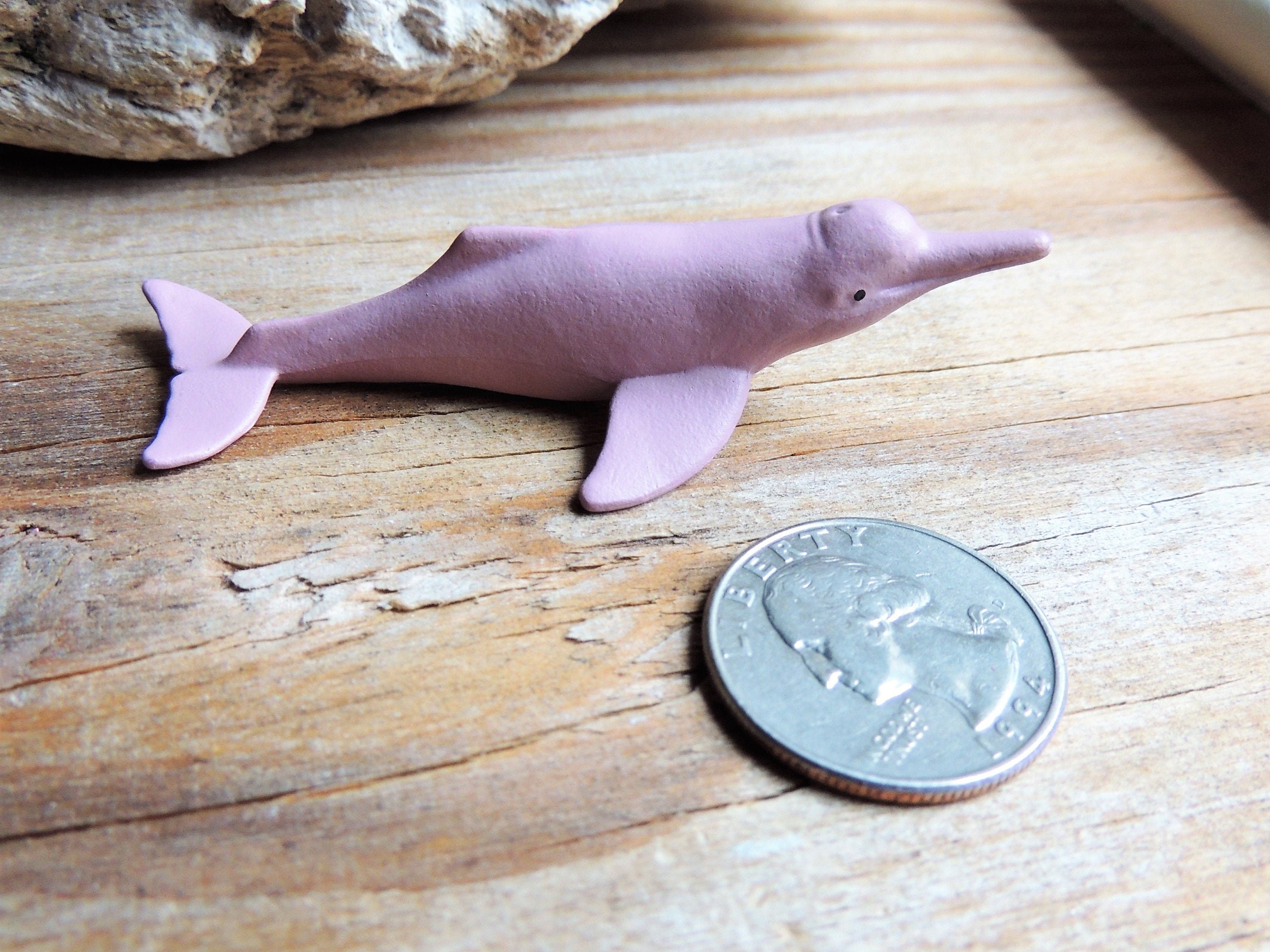 Behind the Pink Curtain: Getting Up Close and Personal with the Pink River Dolphin
