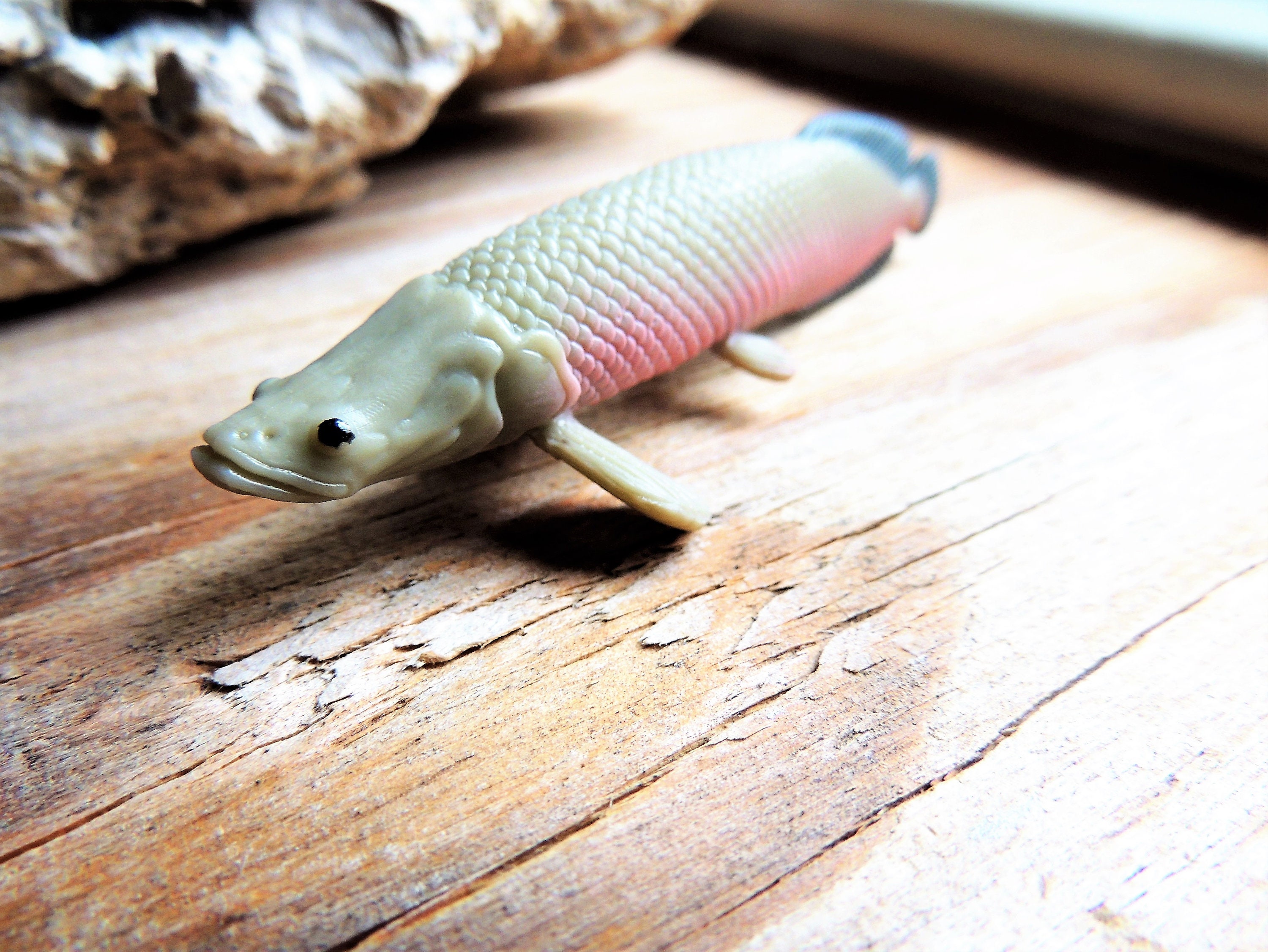 MINIATURE Arapaima Freshwater Fish Animals Figures Figurine Dollhouse Diorama Terrarium Mini Small Plastic Animal Safari Ltd Toob Individual