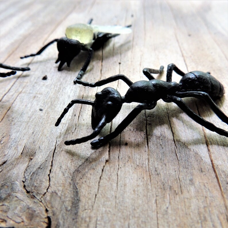 MINIATURE ANT Insects Animal Figure Figurine Dollhouse Fairy | Etsy