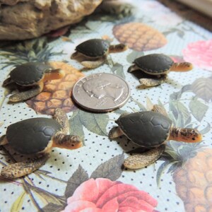 TINY MINI MINIATURE SEA TURTLES: Bulk Sets of 6-500 Figurines Sea Ocean Animal Realistic Figures for crafts, dollhouses, terrariums, fairy gardens, resin crafts, dioramas, party favors, scavenger hunts, gifts animal lovers, Etsys Pick Mini Animals