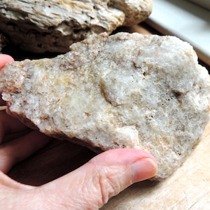 May include: A close-up of a white, rough-textured rock with a slightly brown tint. The rock is being held in a hand.