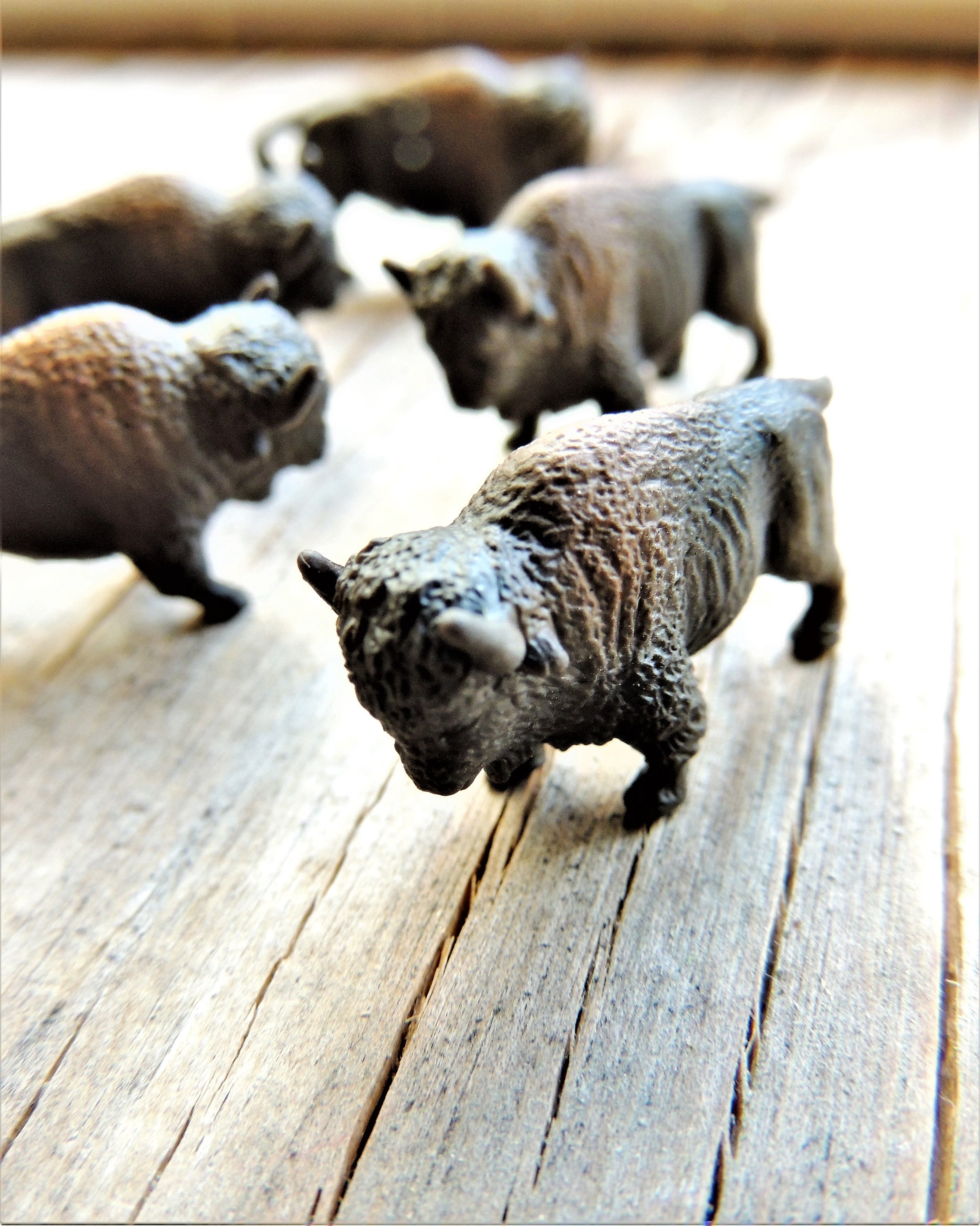 Miniature Bison Ranch Tiny MINIATURE Bison Animal Mini Figurines Dollhouse Diorama Terrarium ...