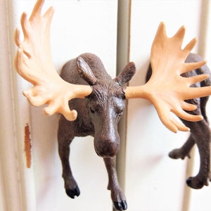 May include: A pair of brown moose head cabinet door pulls with large, light brown antlers. The moose heads are facing forward with their mouths closed.