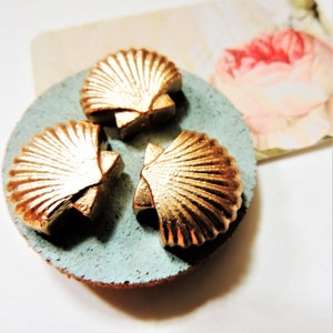 May include: Three gold-colored seashell-shaped decorative objects on a round, light blue surface. The seashells have detailed ridges and are arranged in a triangular pattern. A floral print is visible in the background.