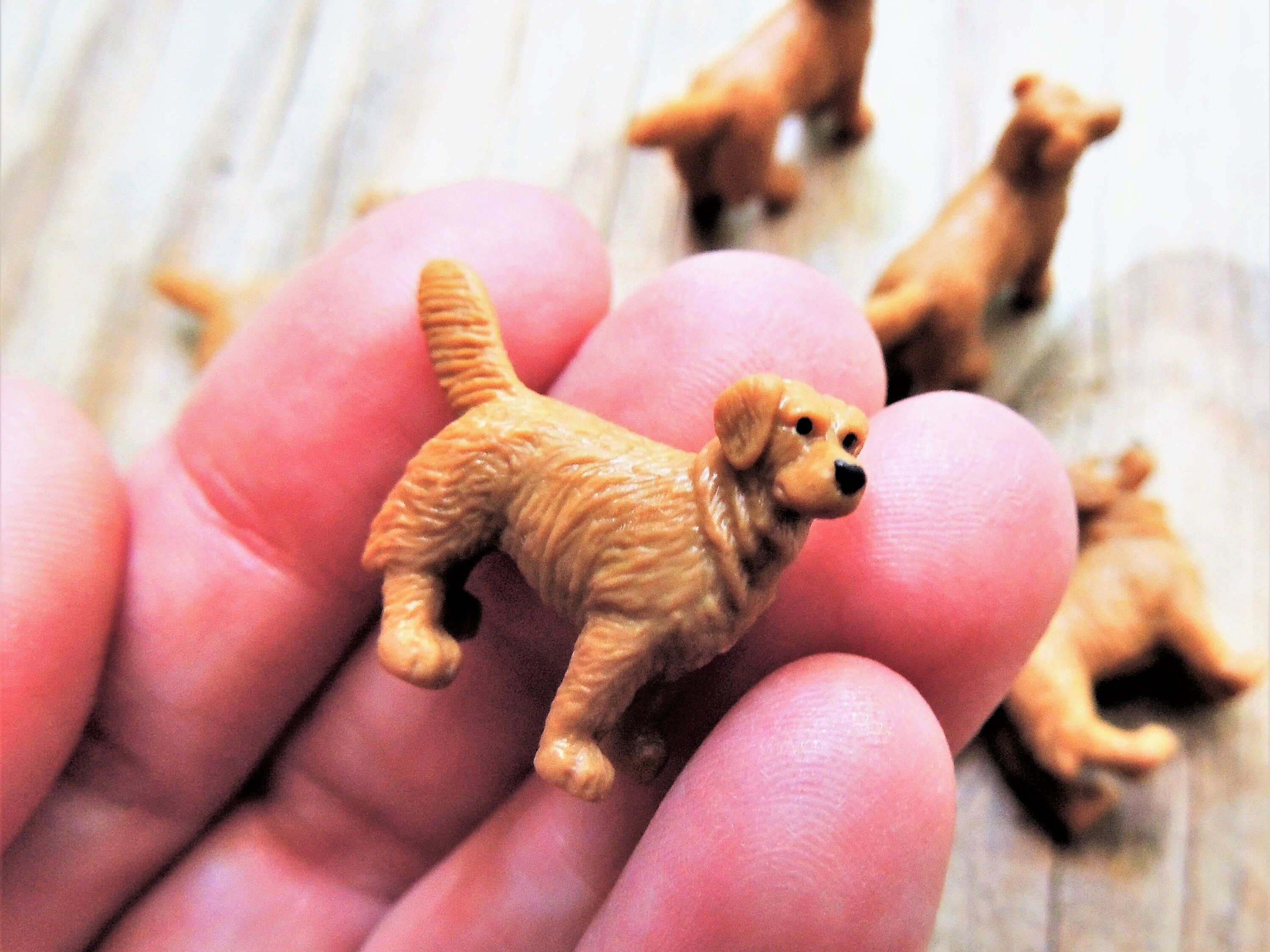 Figurine chien golden retriever : : Cuisine et Maison