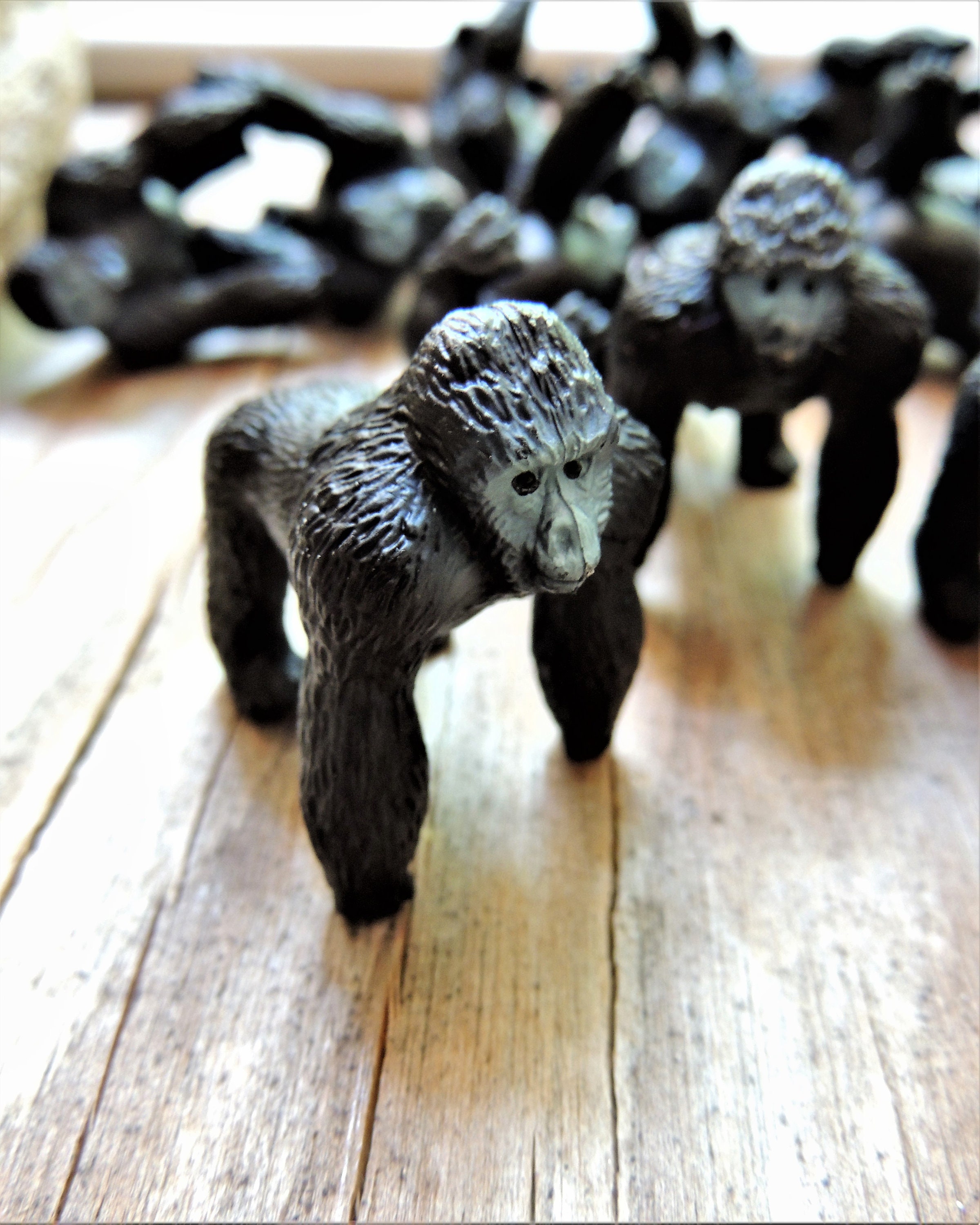 erect 動物フィギュア 4体セット クマ ゴリラ ミニチュアゴリラ プラスチック製動物フィギュア 置物 妖精の庭 ドール