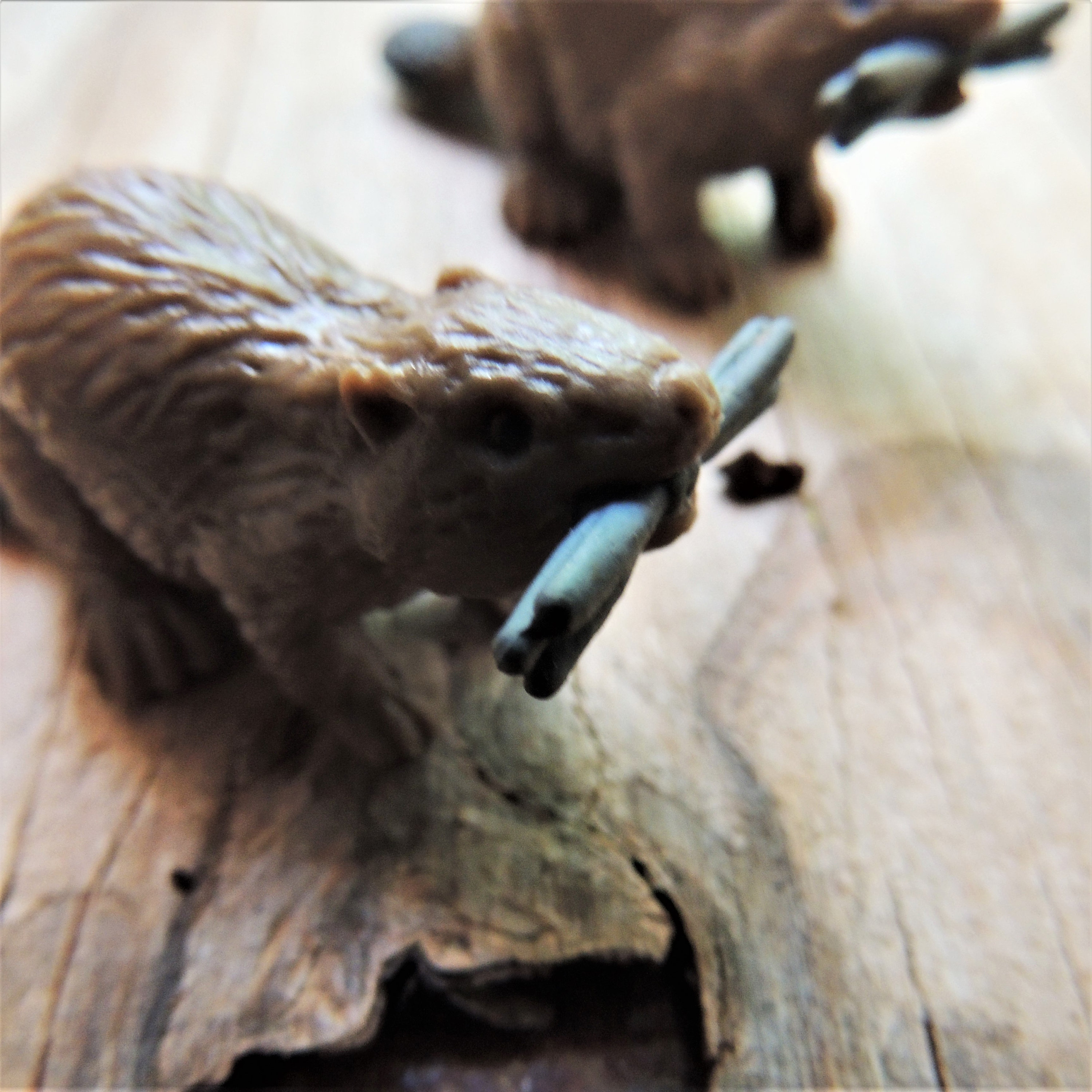 MINIATURE BEAVER Animal Figurine Fairy Gardens Dollhouse Diorama ...