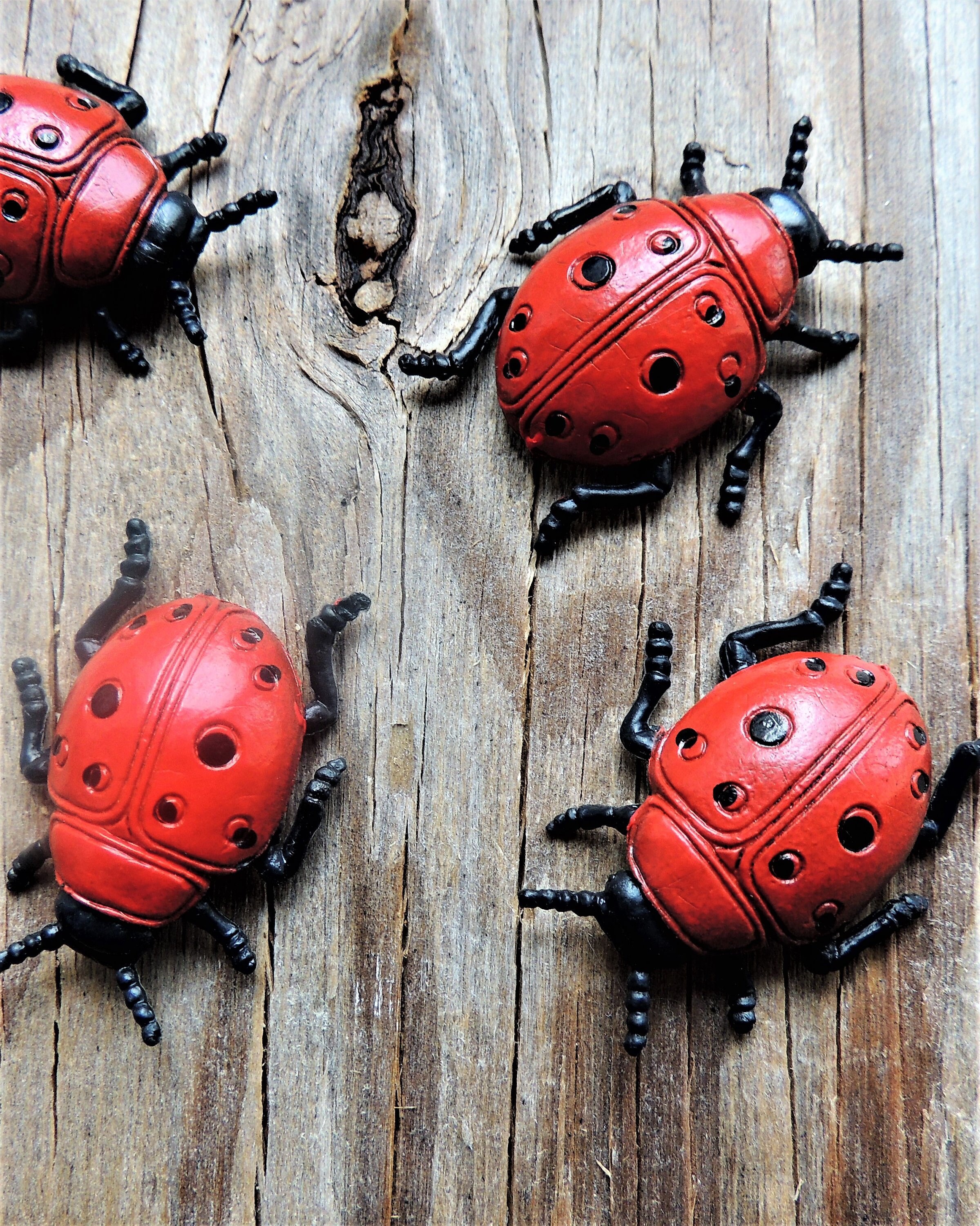 MINIATURE LADYBUG Animal Insect Figures Figurines Fairy Garden ...