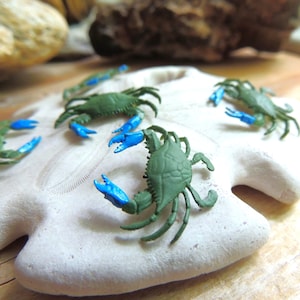 Set of Tiny CRAB MINIATURE Sea Life Animal Figurine Mini Figure Dollhouse Terrarium Blue Crab Miniatures Fairy Garden Ocean Pack Diorama Lot
