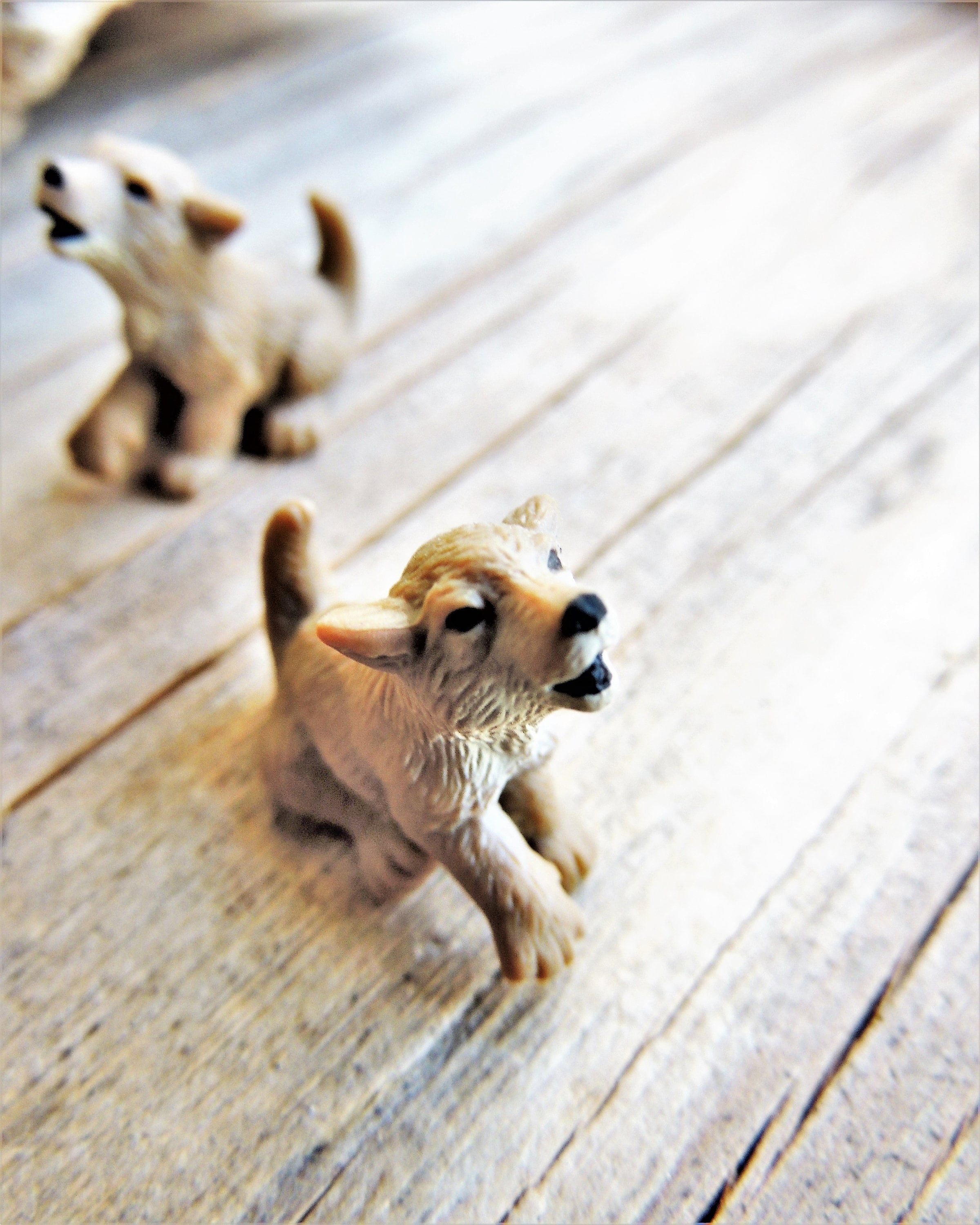 Lot de 5 figurines en céramique de chien chiot beagle statue miniature