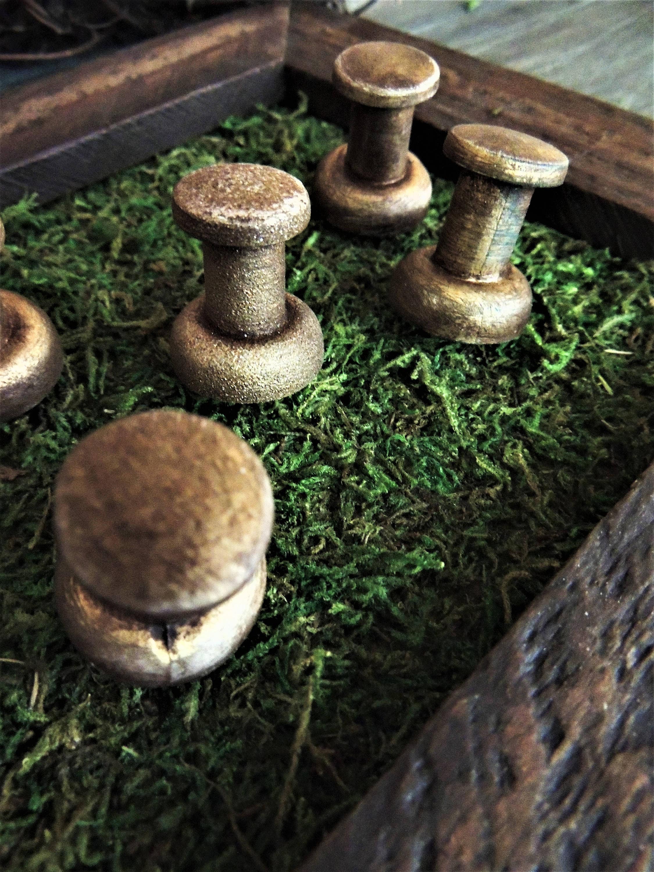 JUMBO PUSH PINS Pushpin Thumbtacks Thumb Tack Decorative Gold Etsy