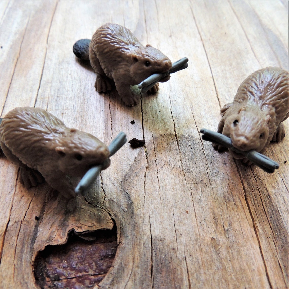 MINIATURE BEAVER Animal Figurine Fairy Gardens Dollhouse Diorama ...