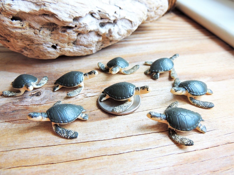 TINY MINI MINIATURE SEA TURTLES: Bulk Sets of 6-500 Figurines Sea Ocean Animal Realistic Figures for crafts, dollhouses, terrariums, fairy gardens, resin crafts, dioramas, party favors, scavenger hunts, jewelry charm supplies, Etsys Pick Mini Animals