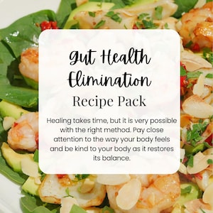 Gut Health Elimination  Recipe Bundle | Gut Health  | How-to guide | Snack guide