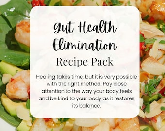 Gut Health Elimination  Recipe Bundle | Gut Health  | How-to guide | Snack guide