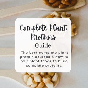 Guida completa alle proteine vegetali / Guida vegana / Guida a base vegetale