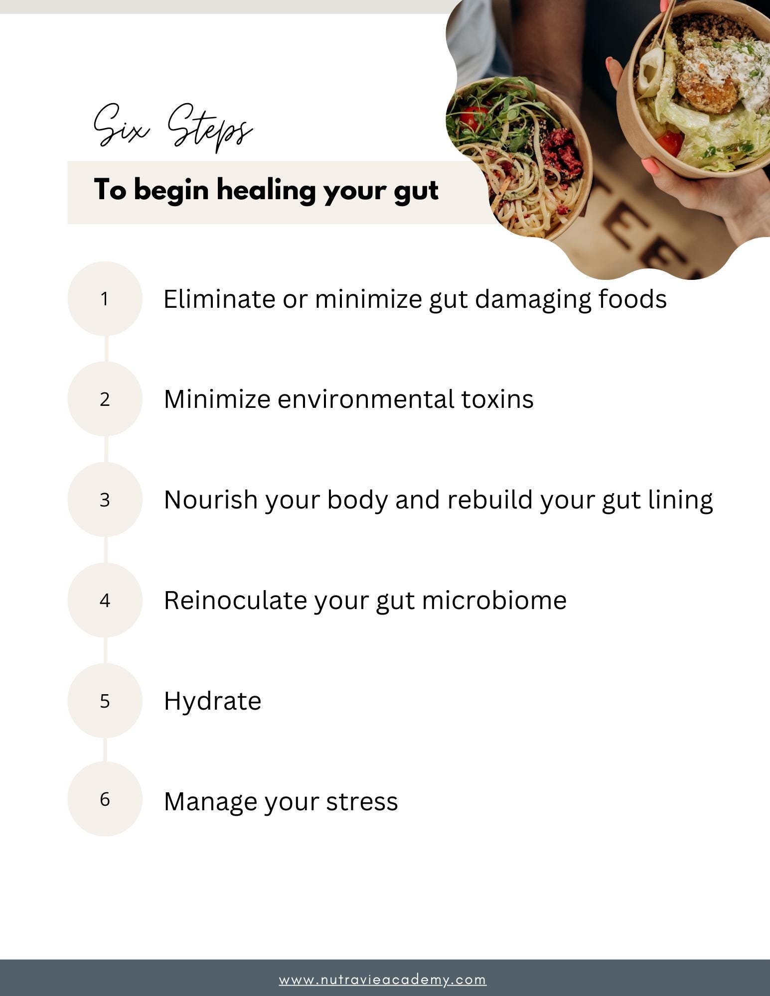 6 Steps to Begin Healing Your Gut | Gut Health - Etsy