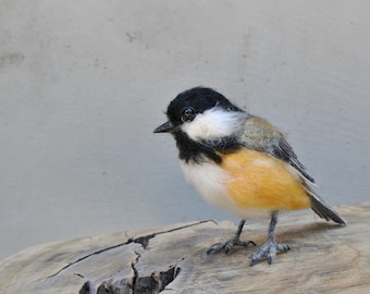 Needle felted Chickadee bird. Made to order.