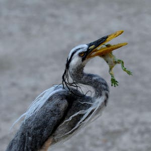 Needle Felted Blue heron with a frog