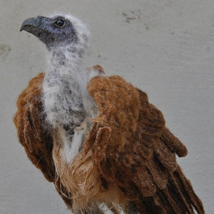 Needle Felted Animals. Halloween decoration. African White-backed Vulture. Made to order image 2