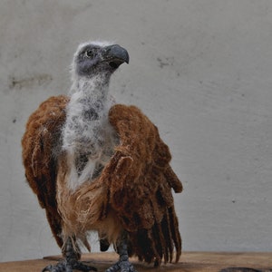 Needle Felted Animals. Halloween decoration. African White-backed Vulture. Made to order image 1