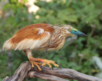 Needle Felted Bird. Scuacco heron.