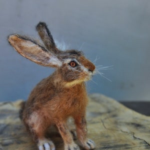 Needle felted animal, Felted rabbit, Needle felted bunny ,Needle felted rabbit, Wool Felt Animals. Jackrabbit. Made to order image 2