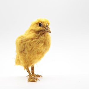 Needle Felted Bird.  Easter Chick. Needle felted chick . Chick art doll. Soft Sculpture . Made to order