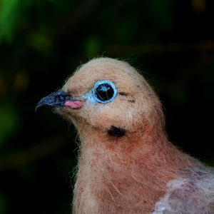 Needle Felted  Bird . Mourning dove. Life size .Made to order