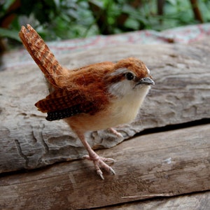 Carolina wren. Wool sculpture. Needle Felted  Animals. Needle felted bird .