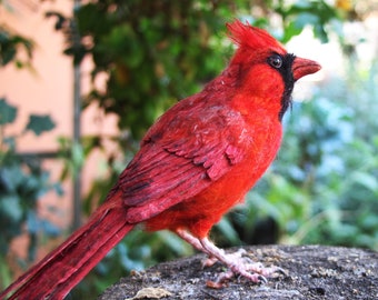 Needle Felted Bird.  Cardinal Bird.