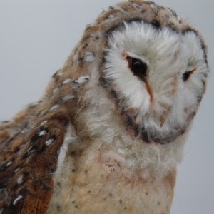 Modern Wool Felted Barn Owl -Large Size Realistic Needle Felting Owls Sculpture - Artificial Fancy / Cute Birds Fiber Art - Beautiful Gift