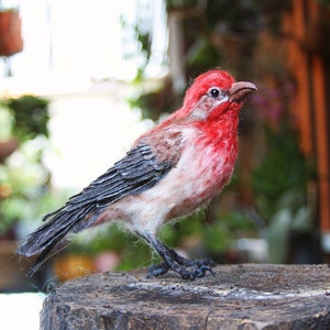 Needle Felted bird. House finch . image 1