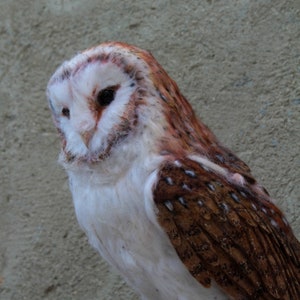 Modern Wool Felted Barn Owl Large Size Realistic Needle Felting Owls Sculpture Artificial Fancy / Cute Birds Fiber Art Beautiful Gift image 2