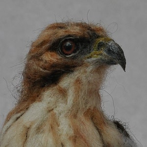 Needle Felted Bird Needle felted Red Tailed hawk Wild Bird Felt bird Bird Lovers Bird made to your order image 2