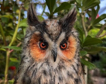 Needle felted  owl. Long-eared Owl. Made to order
