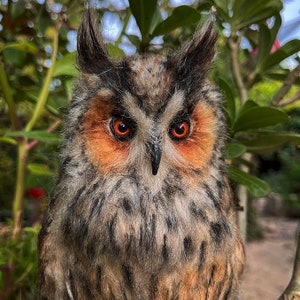 Needle felted owl. Long-eared Owl. Made to order image 1