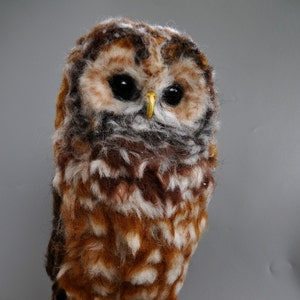 Needle Felted Owl. Mexican spotted owl. image 8