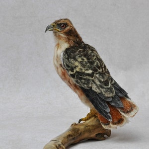 Needle Felted  Bird - Needle felted Red Tailed hawk -Wild Bird - Felt bird - Bird Lovers - Bird made to your order