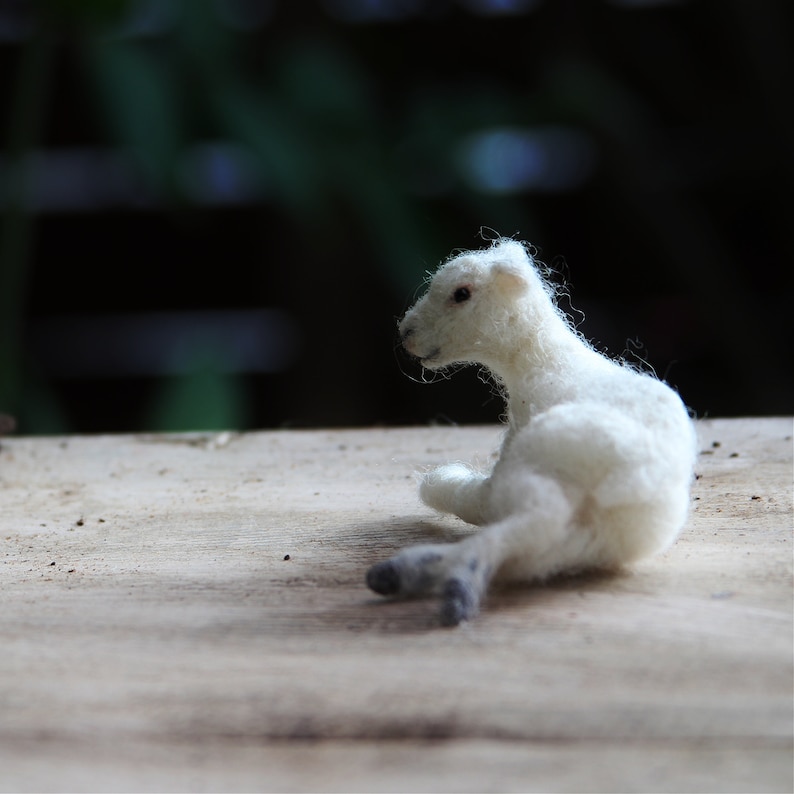 Needle felted animal, Tiny lamb, Needle felt animals, Felted lamb, For custom orders image 8