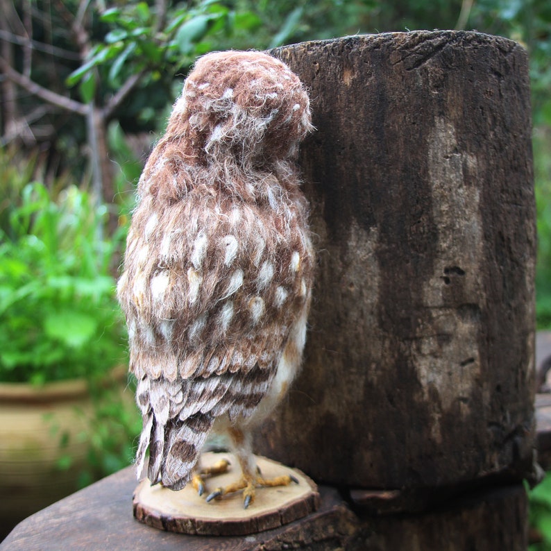Needle Felted Owl, Burrowing Owl, Needle Felted Bird, Needle felted bird sculpture, Owl Faux taxidermy, Owl decor, Owl sculpture, Owl gift image 4