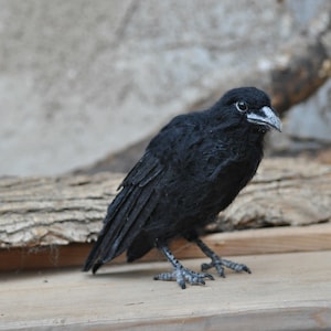 Needle Felted bird. Black raven. image 5