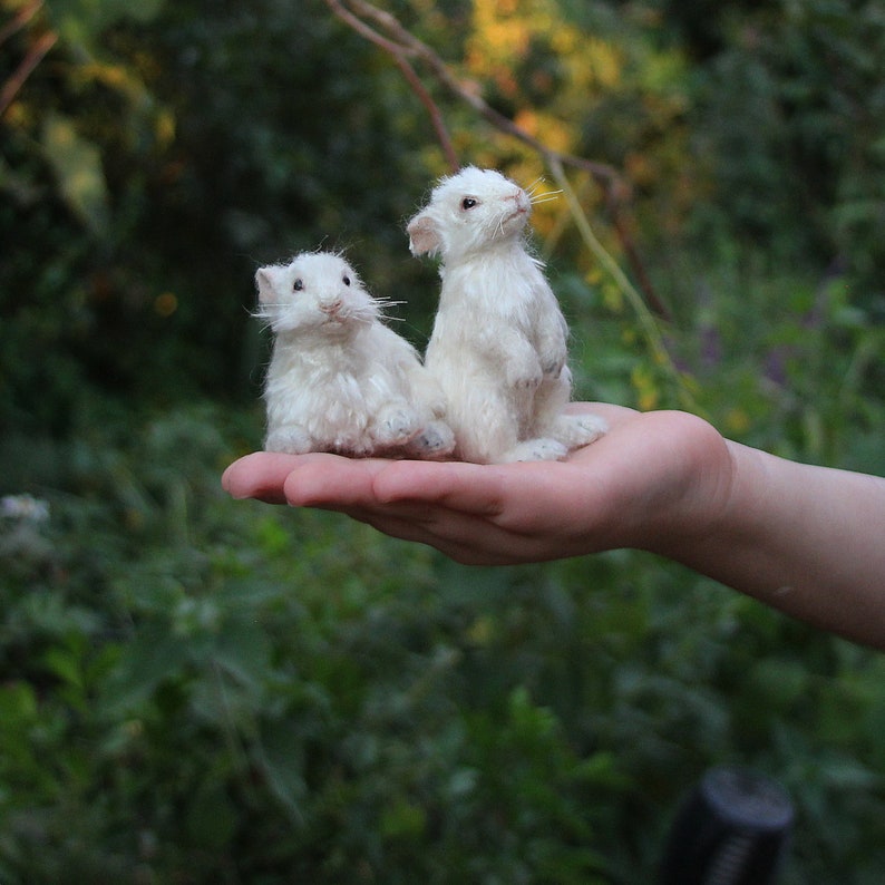 Needle Felted Animalsmini Needle Felted Rabbitfelted Animal Etsy UK