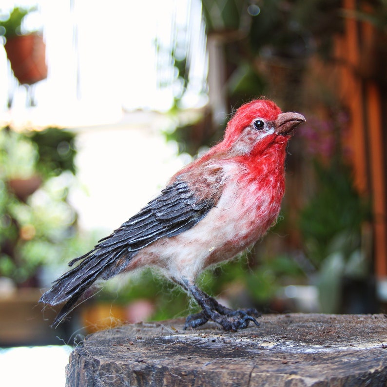 Needle Felted bird. House finch . image 1