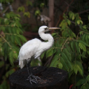 Needle Felted White Heron. image 3