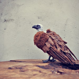 Needle Felted Animals. Halloween decoration. African White-backed Vulture. Made to order image 5