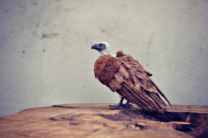 Needle Felted Animals. Halloween decoration. African White-backed Vulture. Made to order image 5