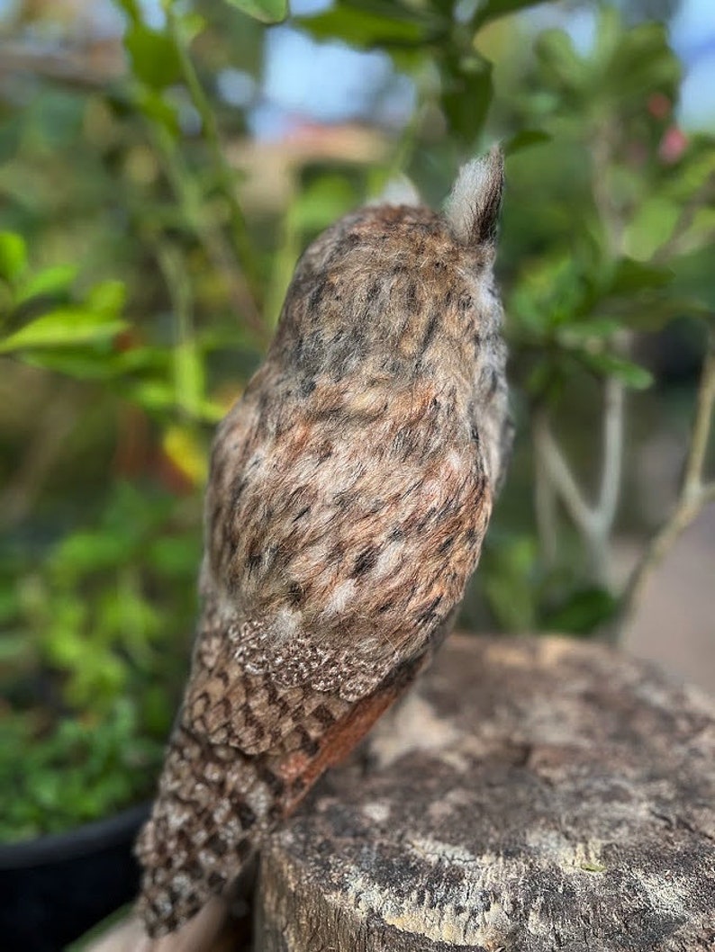 Needle felted owl. Long-eared Owl. Made to order image 9